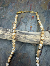 Load image into Gallery viewer, Nevada Fox Turquoise Beaded Necklace with Shell Beads
